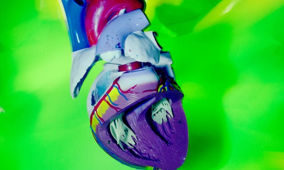 Modulation of bacterial adherence in infective endocarditis