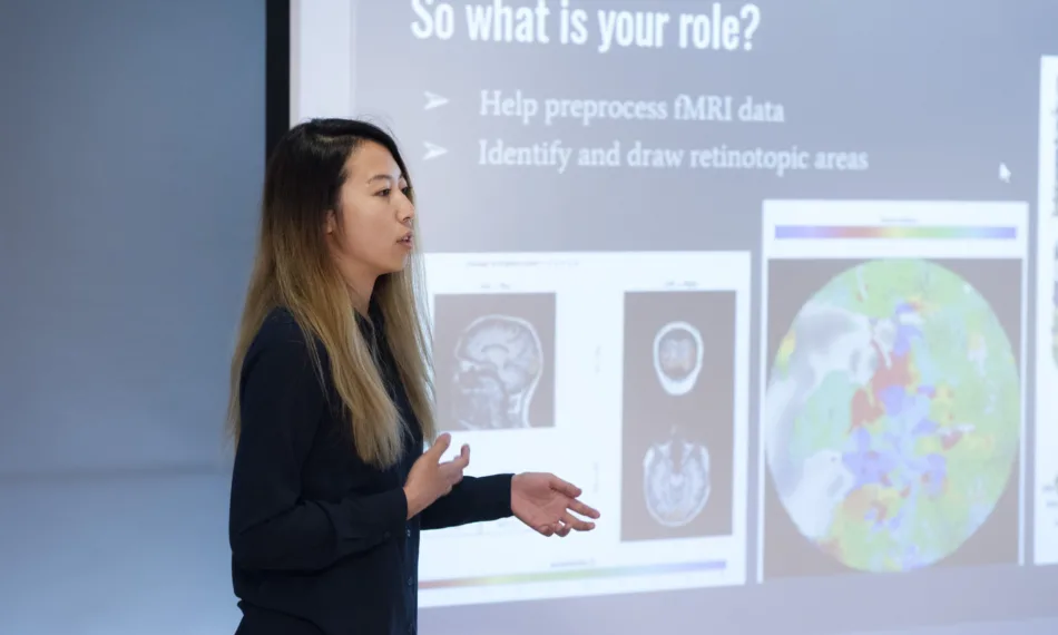 Neuroimaging the impact of video games