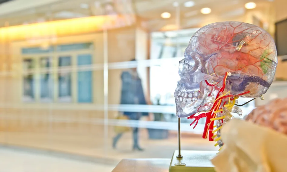 Sleep and emotion regulation in humans: A brain imaging approach