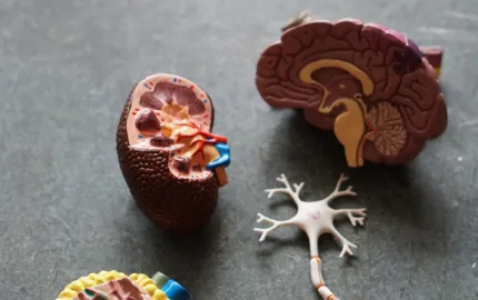 Hearing and Listening Problems across the Lifespan