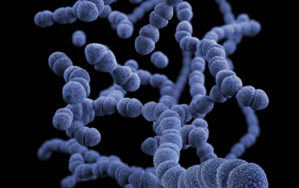 Human fungal pathogen research