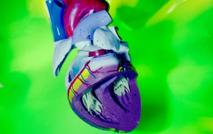 Modulation of bacterial adherence in infective endocarditis
