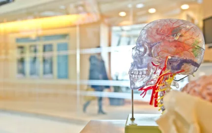Sleep and emotion regulation in humans: A brain imaging approach