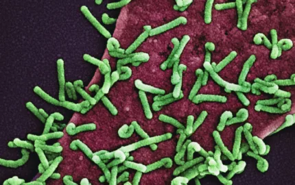 Plant-microbe and microbiome interactions