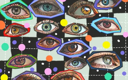 From light to perception: the temporal dynamics of visual processing